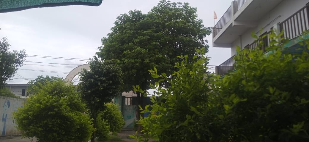 Campus